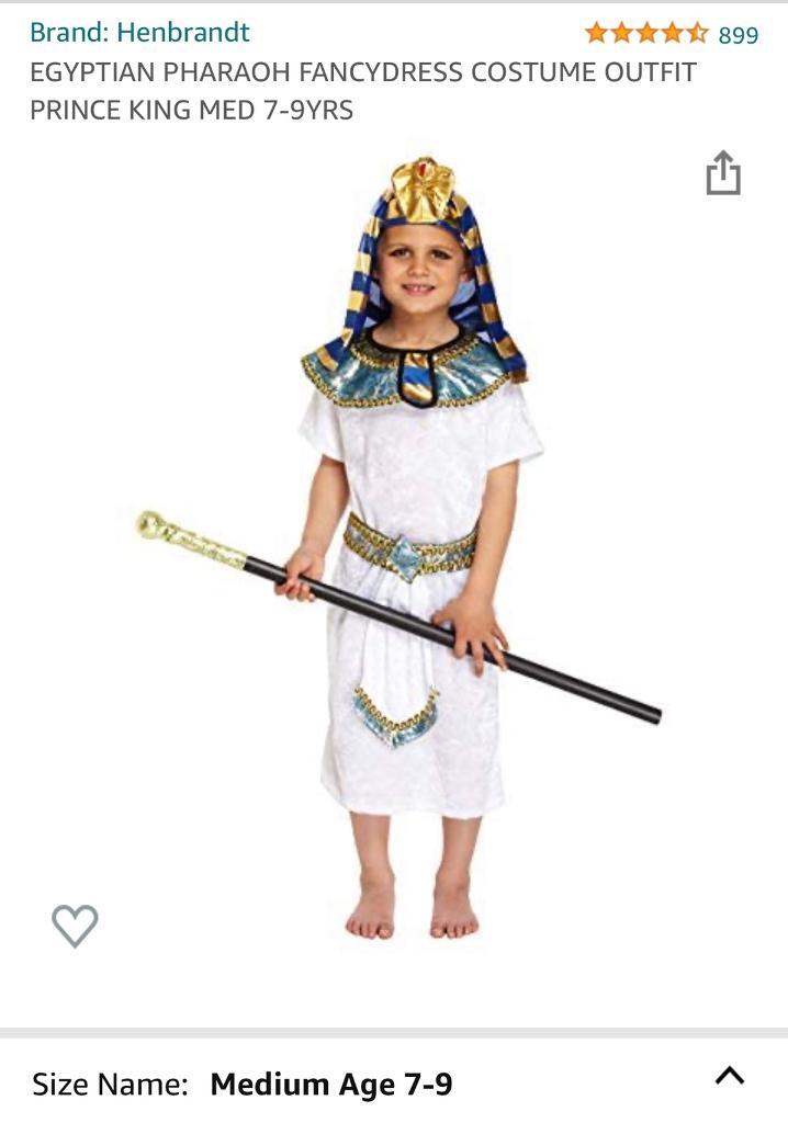 EGYPTIAN PHARAOH FANCYDRESS COSTUME 